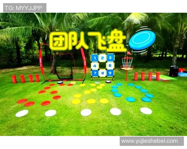 飞盘飞扬：成都飞盘队的奋斗与成长之路全景纪实MBA